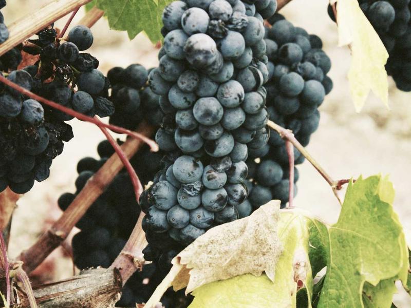 账号密保换绑<br>邮箱手机安全过户防找回全套流程